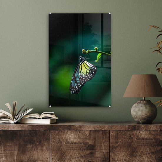 Peinture sur Verre - Papillon sur une Branche Fine - 40x60 cm - Peintures sur Verre Peintures - Photo sur Glas