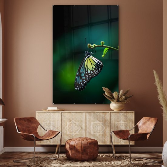 MuchoWow® Peinture sur verre 120x180 cm - Peinture acrylique sur verre - Papillon sur une branche fine - Photo sur verre - Peintures