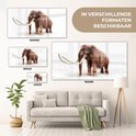 Product afbeelding  9