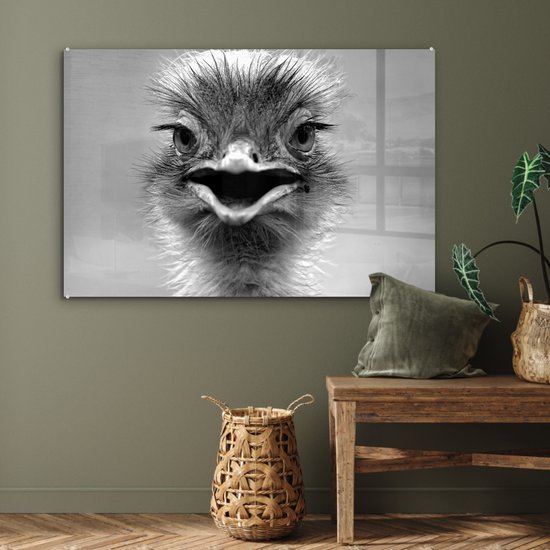 MuchoWow® Peinture sur verre 120x80 cm - Peinture sur verre acrylique - Autruche en gros plan - noir et blanc - Photo sur verre - Peintures