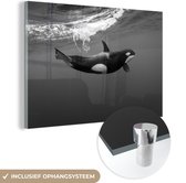 MuchoWow® Glasschilderij 60x40 cm - Schilderij acrylglas - Orka in helder water - zwart wit - Foto op glas - Schilderijen