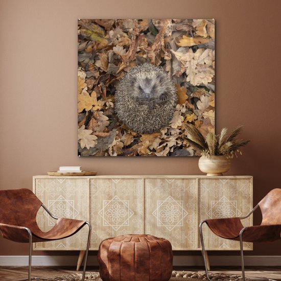 Peinture sur Verre - Hérisson - Automne - Feuilles - 90x90 cm - Peintures sur Verre Acrylique - Photo sur Glas