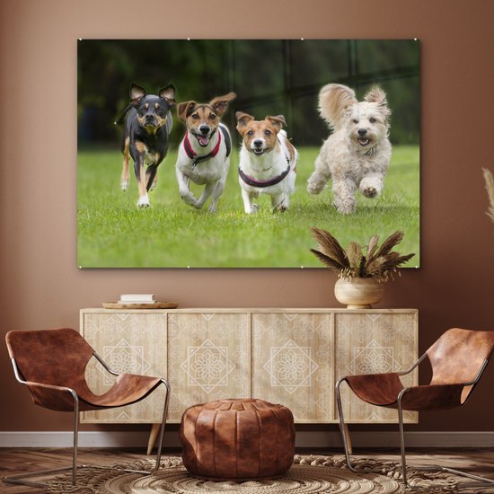 MuchoWow® Peinture sur verre 180x120 cm - Peinture sur verre acrylique - Un groupe de chiots courant à travers un champ - Photo sur verre - Peintures