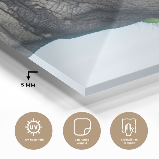 MuchoWow® Peinture sur verre 90x120 cm - Peinture sur verre acrylique - Éléphant - Animaux - Grijs - Nature - Photo sur verre - Peintures