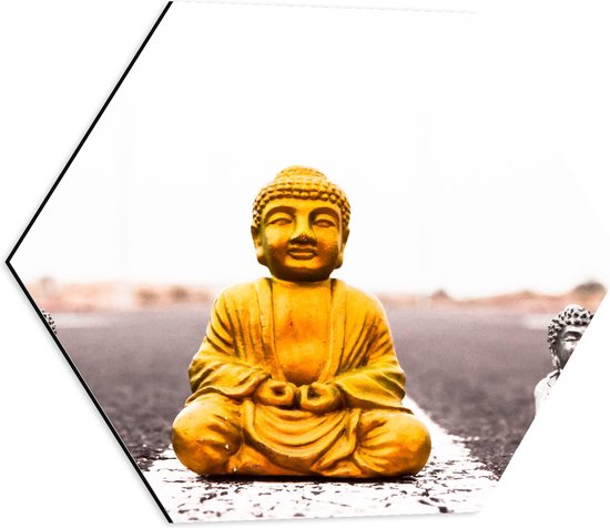 Dibond Hexagon - Gouden en Zilveren Miniatuur Buddha_s op Asfalt weg - 50x43.5 cm Foto op Hexagon (Met Ophangsysteem)