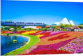 WallClassics - PVC Schuimplaat - Kleurrijk Bloemenveld in Park - 120x80 cm Foto op PVC Schuimplaat (Met Ophangsysteem)