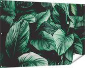 Gards Tuinposter Tropische Groene Bladeren - 150x100 cm - Tuindoek - Tuindecoratie - Wanddecoratie buiten - Tuinschilderij