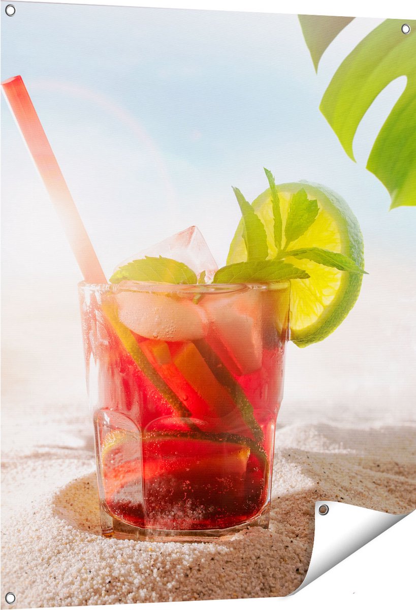 Gards Tuinposter Cocktail Mix Drankje op het Strand - 80x100 cm - Tuindoek - Tuindecoratie - Wanddecoratie buiten - Tuinschilderij Multikleur