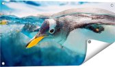Gards Tuinposter Pingu�n Zwemt onder Water - 80x40 cm - Tuindoek - Tuindecoratie - Wanddecoratie buiten - Tuinschilderij
