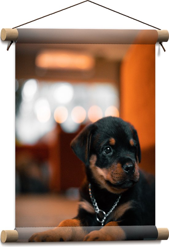 Textielposter - Liggende Rottweiler Puppy met IJzeren Halsband - 30x40 cm Foto op Textiel