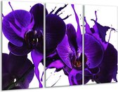 Glasschilderij Orchidee - Paars, Blauw, Wit - 120x80cm 3Luik - Foto Op Glas - Geen Acrylglas Schilderij - GroepArt 6000+ Glas Art Collectie - Maatwerk Mogelijk