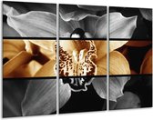 Peinture sur verre d'orchidée | Sépia, Marron | 120x80cm 3 Liège | Tirage photo sur verre |  F001980