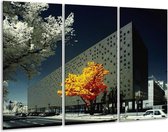 Peinture sur verre d'arbre | Jaune, gris, blanc | 120x80cm 3 Liège | Tirage photo sur verre | F002381