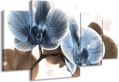 GroepArt - Schilderij -  Orchidee - Blauw, Grijs - 160x90cm 4Luik - Schilderij Op Canvas - Foto Op Canvas