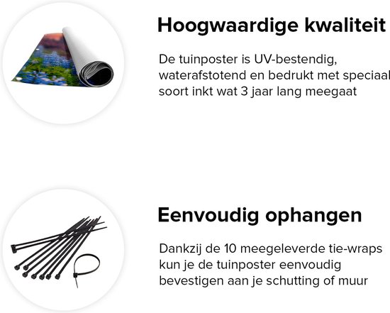 Gards Poster de jardin Cascade aux Fleurs de Lupine bleu - 50x40 cm - Toile de jardin - Décoration de jardin - Décoration murale extérieur - Tableau de jardin