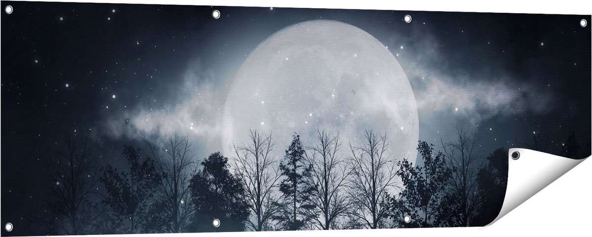 Gards Tuinposter Maan tussen de Bomen in de Nacht - 150x50 cm - Tuindoek - Tuindecoratie - Wanddecoratie buiten - Tuinschilderij Multikleur