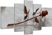 Glasschilderij Roos - Bruin, Grijs - 170x100cm 5Luik - Foto Op Glas - Geen Acrylglas Schilderij - 6000+ Glasschilderijen Collectie - Wanddecoratie