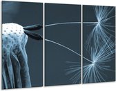 Peinture sur verre Fleur | Bleu gris | 120x80cm 3 Liège | Tirage photo sur verre |  F006562