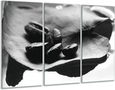 Glasschilderij Koffiebonen, Keuken - Zwart, Wit, Grijs - 120x80cm 3Luik - Foto Op Glas - Geen Acrylglas Schilderij - GroepArt 6000+ Glas Art Collectie - Maatwerk Mogelijk