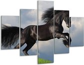 Peinture sur verre de cheval | Noir, vert, blanc | 100x70cm 5Liège | Tirage photo sur verre | F002681