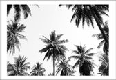 Underneath the palm trees (70x100cm) - Wallified - Tropisch - Poster - Print - Wall-Art - Woondecoratie - Kunst - Posters