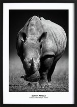 Rhino Poster (70x100cm) - Wallified - Natuur - Landschap - Zee - Poster - Print - Wall-Art - Woondecoratie - Kunst - Posters