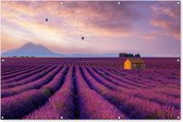 Tuinposter lavendel - Bloemen - Luchtballon - Paars - Landschap - Tuindecoratie - Tuinschilderij voor buiten - 180x120 cm - Schutting decoratie - Schuttingdoek - Tuin - Tuindoek - Buitenposter