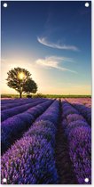 Tuinposter lavendel - Tuindecoratie bloemen - 40x80 cm - Wanddecoratie voor buiten - Schutting decoratie paars - Buitenposter - Paarse schuttingdoek - Tuindoeken - Tuin doek - Balkon poster