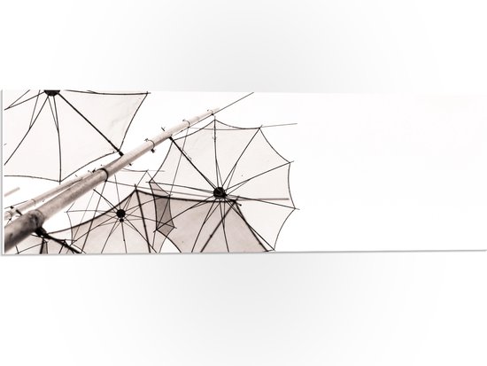 PVC Schuimplaat - Doorzichtige Paraplu Vormen tegen Witte Achtergrond - 90x30 cm Foto op PVC Schuimplaat (Met Ophangsysteem)