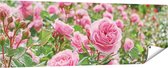 Gards Tuinposter Roze Rozen Bloemenveld - 180x60 cm - Tuindoek - Tuindecoratie - Wanddecoratie buiten - Tuinschilderij