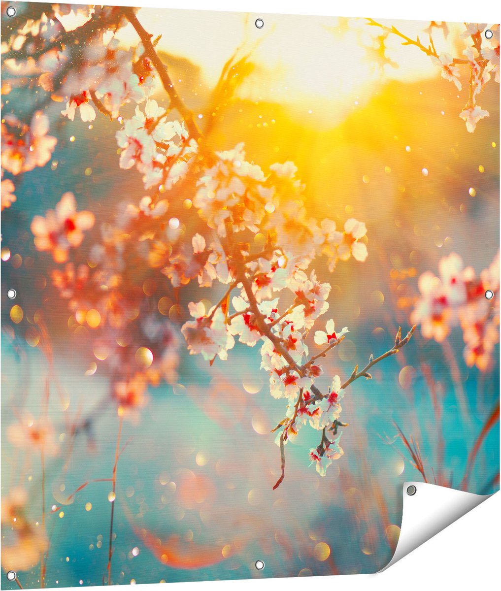 Gards Tuinposter Bloesemboom tijdens Zonsondergang - Bloem - 100x100 cm - Tuindoek - Tuindecoratie - Wanddecoratie buiten - Tuinschilderij Multikleur