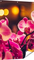 Gards Tuinposter Roze Orchidee Bloemen - 80x120 cm - Tuindoek - Tuindecoratie - Wanddecoratie buiten - Tuinschilderij