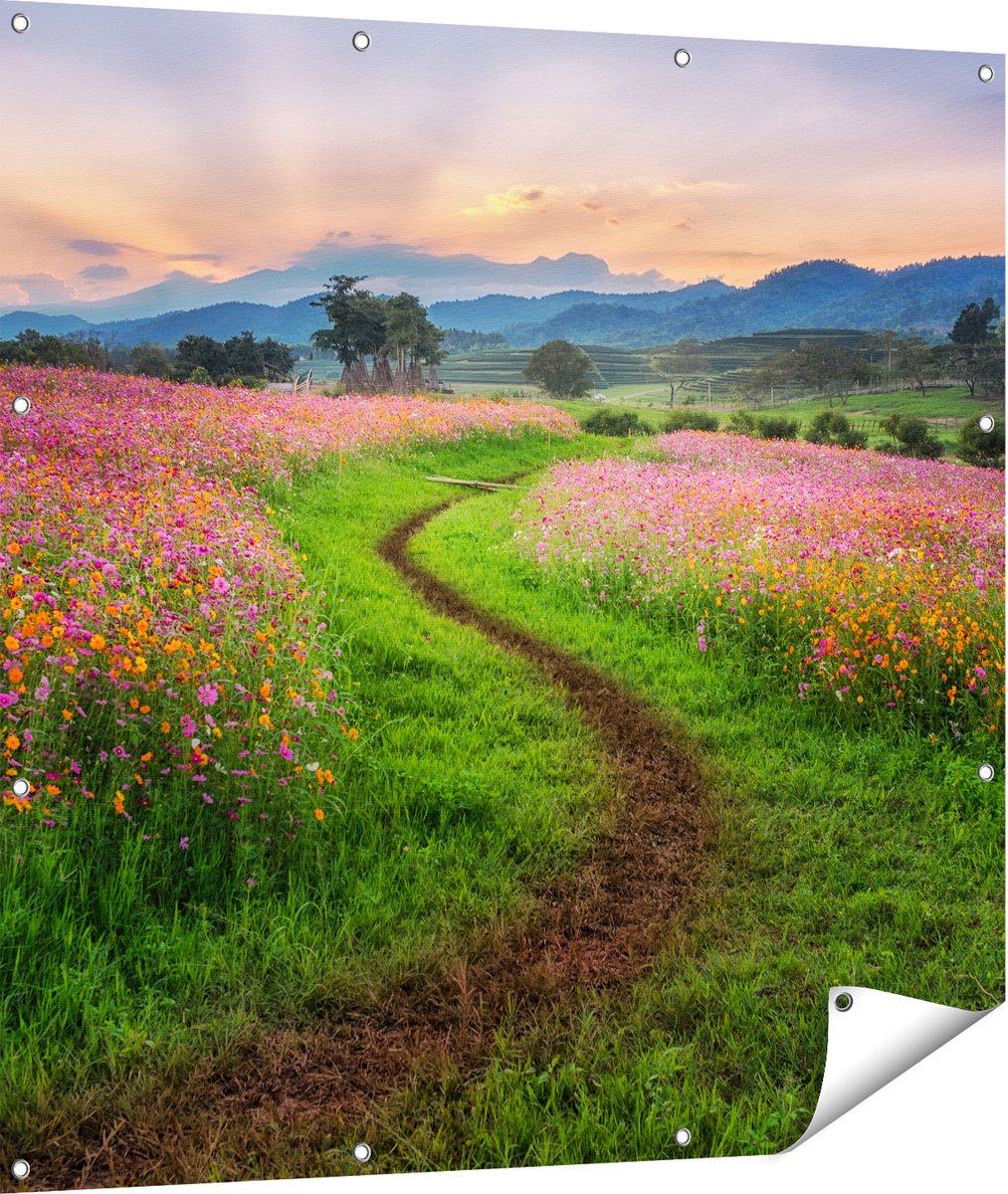 Gards Tuinposter Kosmos Bloemenveld met een Pad - Bloemen - 110x110 cm - Tuindoek - Tuindecoratie - Wanddecoratie buiten - Tuinschilderij Multikleur