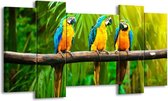 GroepArt - Schilderij - Vogels - Groen, Oranje, Blauw - 120x65 5Luik - Foto Op Canvas - GroepArt 6000+ Schilderijen 0p Canvas Art Collectie - Wanddecoratie