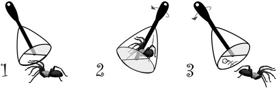 Drie illustraties van hoe de insectenvanger werkt: 1. Spinnenvanger bij spin. 2. Spin gevangen. 3. Spin losgelaten.