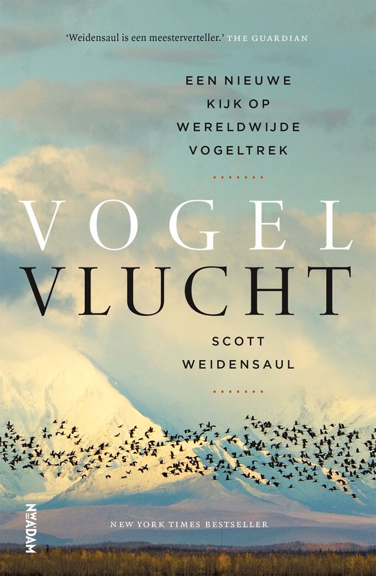 Vogelvlucht - cover