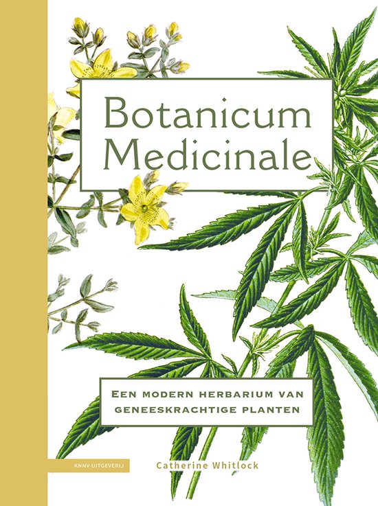 Botanicum medicinale - cover