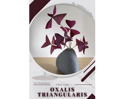 Oxalis triangularis