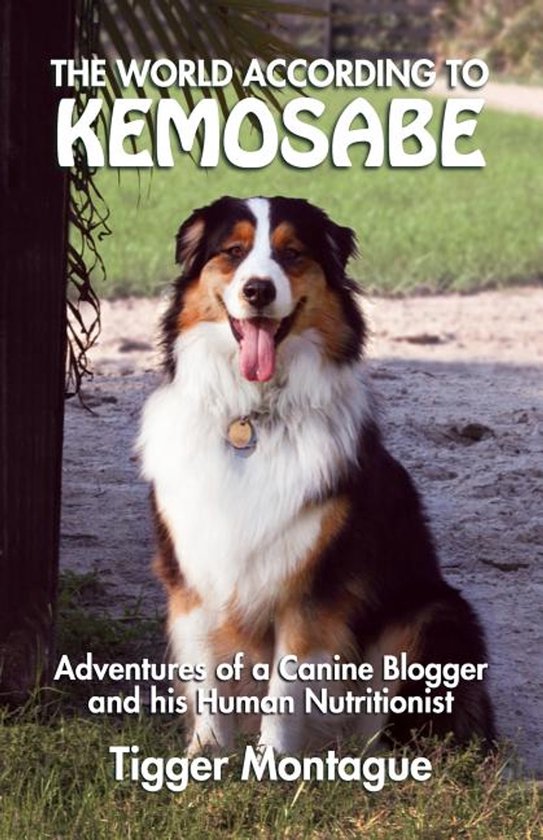 The World According to Kemosabe - cover