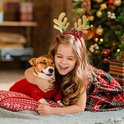 Une fille aux boucles brunes câline un chien, porte un serre-tête renne avec bois scintillants et nœud écossais rouge.