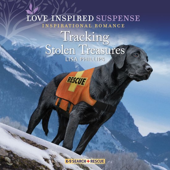 Tracking Stolen Treasures - cover