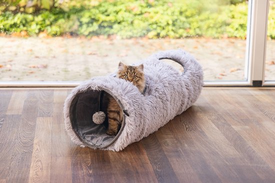 Een cyperkat met tabby-patroon kijkt vanuit een grijze, pluizige kattentunnel.