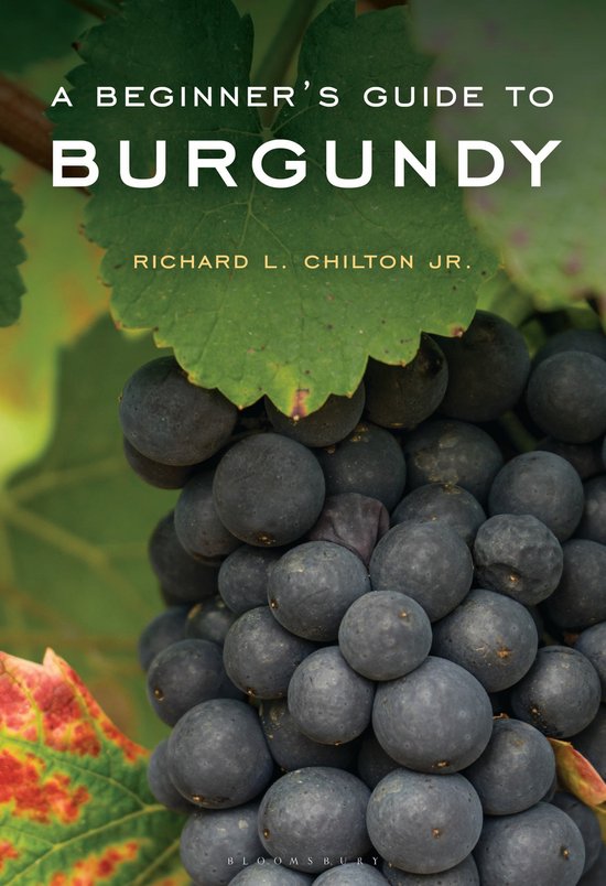 A Beginner's Guide to Burgundy - cover