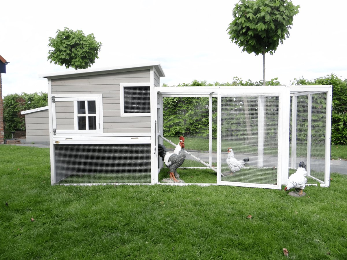 Bol.com Kippenhok – Konijnenhok – dierenverblijf Arie - XXL – hout – grijs/wit - 2 verdiepingen – kippen – konijnen – nachthok –... aanbieding