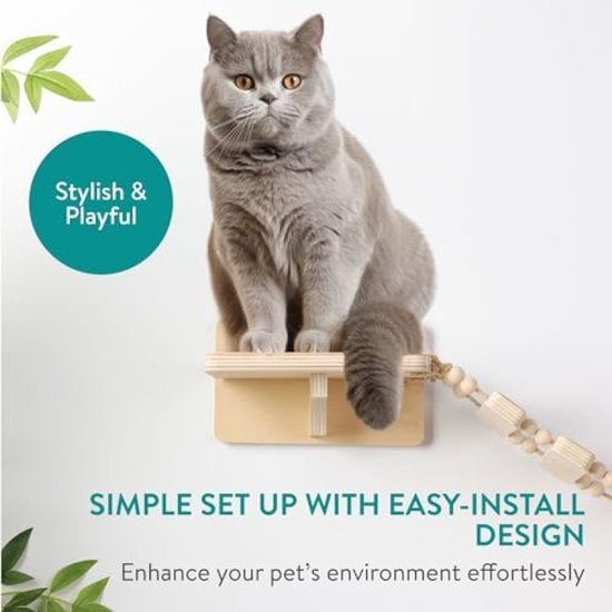Katten Klimmuur Kopen? De Top 5 met Installatietips en Advies