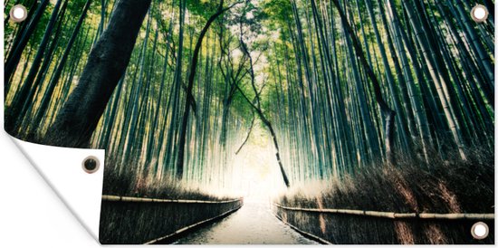 Bamboebos in Arashiyama in Japan