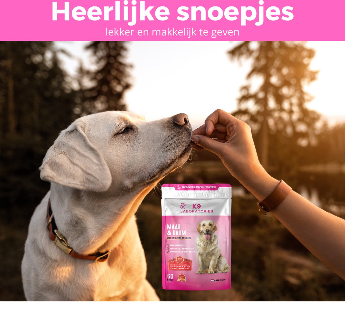Magen & Darm Snack - 100% natürliche Belohnung für Hunde