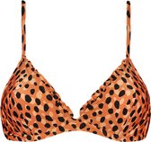 Beachlife TOP - Bikini Foam + Wired Leopard Spots