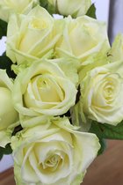 White Naomi - Witte rozen - 12 stuks - 70 centimeter - vers van kweker