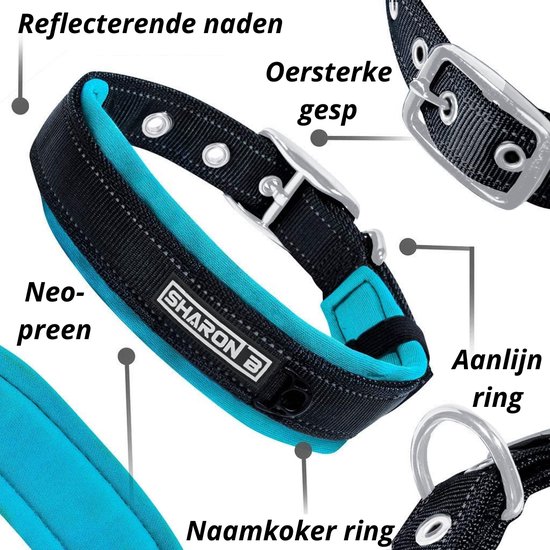 Hondenhalsband Met gesp - Reflecterend - Turquoise - Maat M - Neopreen